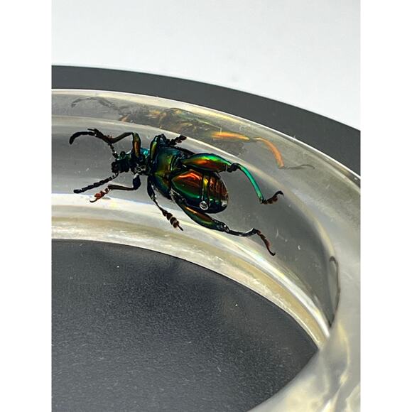 Vintage 1960s Clear Lucite Green Iridescent Beetle Weevil Bangle Bracelet - Picture 3 of 12
